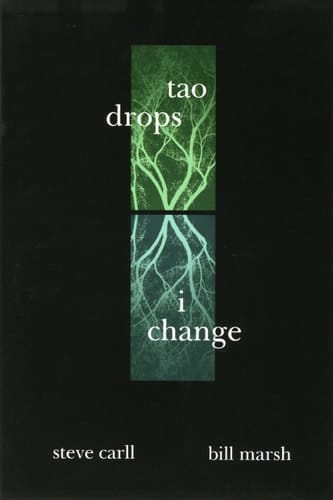Tao Drops, I Change