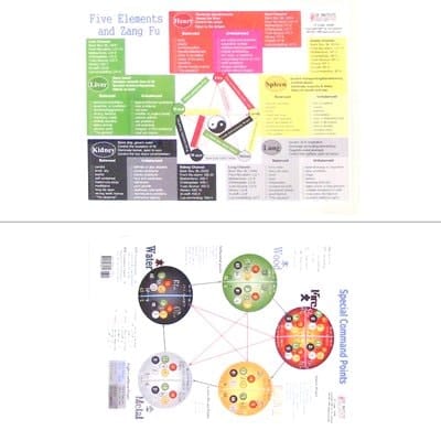 Xie's Special Command Pts / Zang Fu Functions Chart