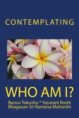 Contemplating Who Am I?