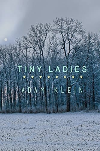 Tiny Ladies (High Risk Books)
