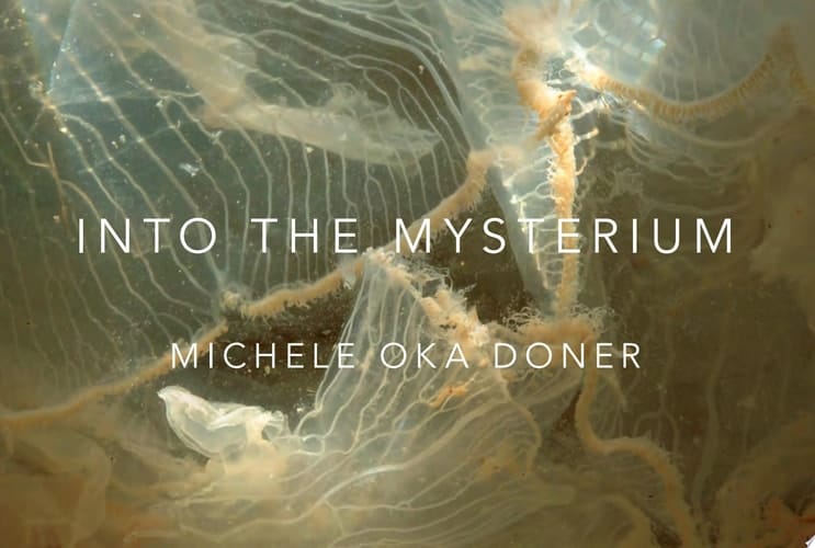 Into the Mysterium