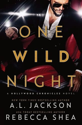 One Wild Night A Hollywood Standalone Romance