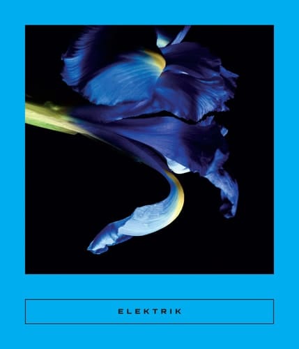 Elektrik Caribbean Writing