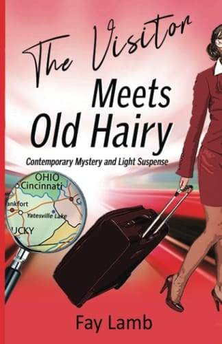 The Visitor Meets Old Hairy Contemporary Mystery and Light Suspense