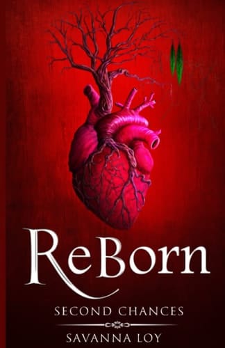 ReBorn: Second Chances