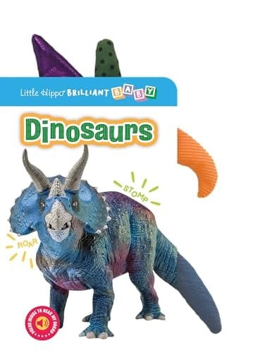 Dinosaur Park Brilliant Baby