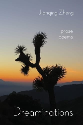 Dreaminations - Prose Poems