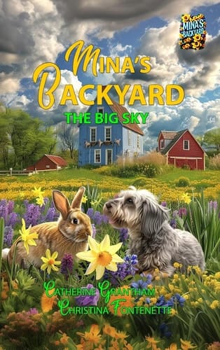 Mina's Backyard - The Big Sky
