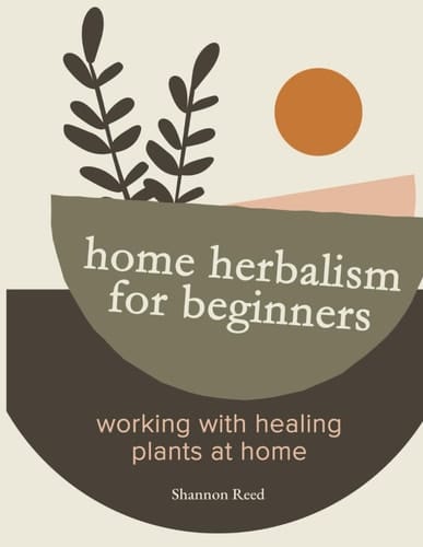 Home Herbalism for Beginners: Working with Healing Plants at Home