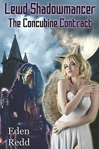 Lewd Shadowmancer: the Concubine Contract A Dark Fantasy Digital Adventure