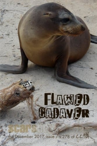 Flawed Cadaver Cc&d Magazine V278 (the December 2017 Issue)