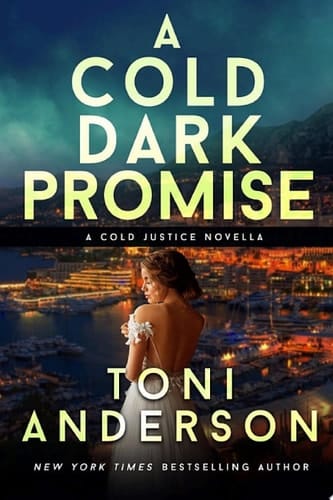 A Cold Dark Promise A Romantic Thriller
