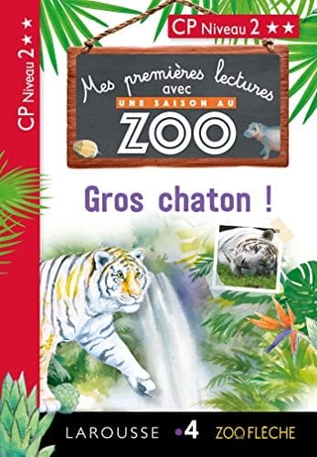 Gros chaton ! CP Niveau 2