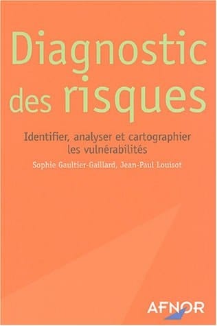Diagnostic des risques identifier, analyser et cartographier les vulnérabilités
