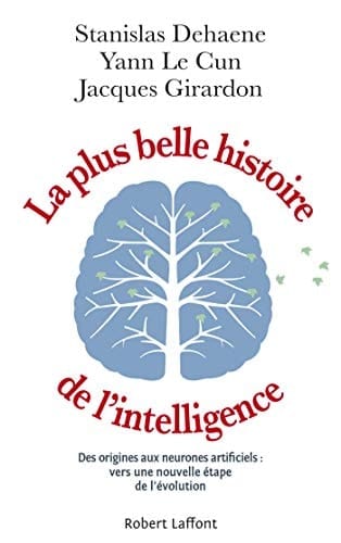 La Plus Belle Histoire de l'intelligence Des origines aux neurones artificiels : vers une nouvelle étape de l'évolution