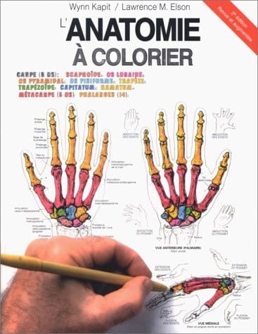 L'anatomie à colorier