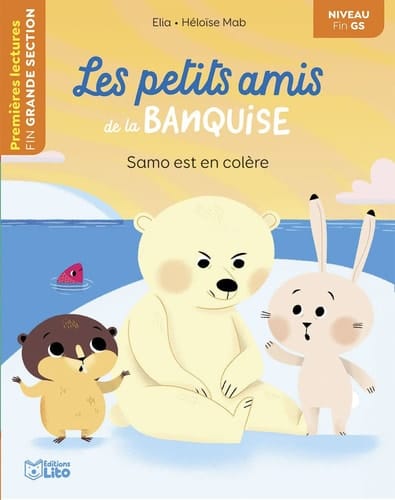 Samo est en colère Niveau fin GS