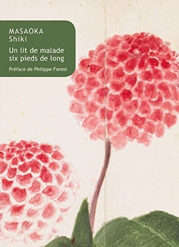 Un lit de malade six pieds de long (5 mai - 17 septembre 1902)