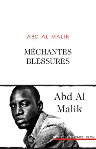 Méchantes blessures roman