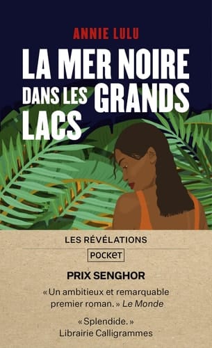 La mer noire dans les grands lacs