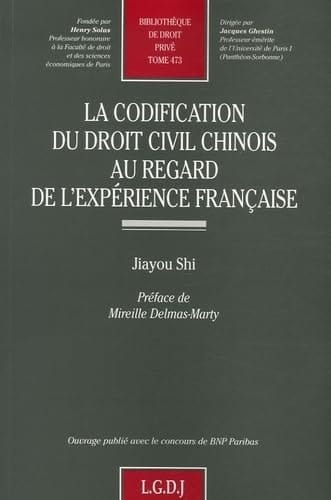 La codification du droit civil chinois au regard de l'expérience française