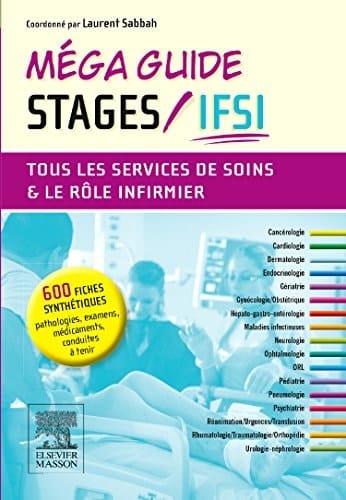 Mega Guide Stages En Ifsi NP