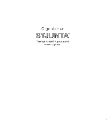 Organiser un Syjunta