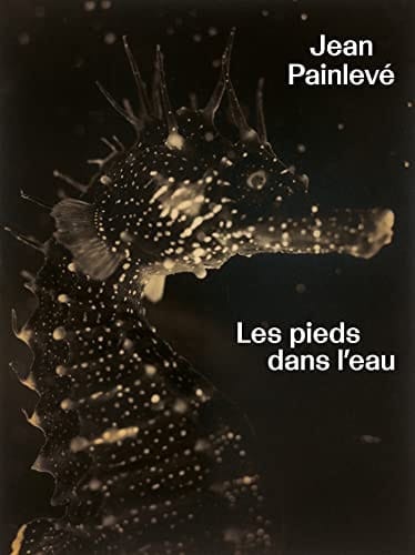 Jean Painlevé les pieds dans l'eau