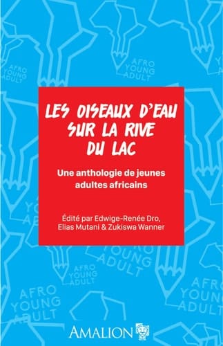 Les oiseaux d'eau sur la rive du lac une anthologie de jeunes adultes africains