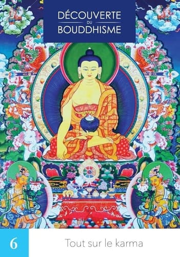 Tout sur le karma (Découverte du bouddhisme) (French Edition)