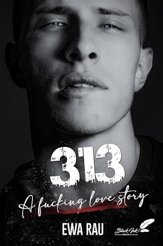 313, a fucking love story