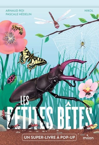 Les petites bêtes Un super-livre à pop-up
