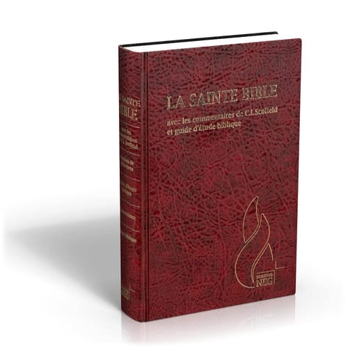 Bible d'étude Segond NEG Scofield, grenat Couverture rigide, skyvertex