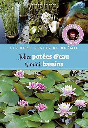 Jolies potées d'eau et mini-bassins (Les bons gestes de Noémie) (French Edition)
