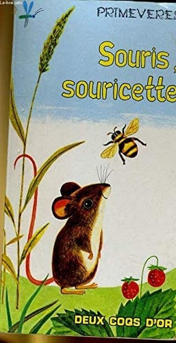 Souris, souricette une histoire