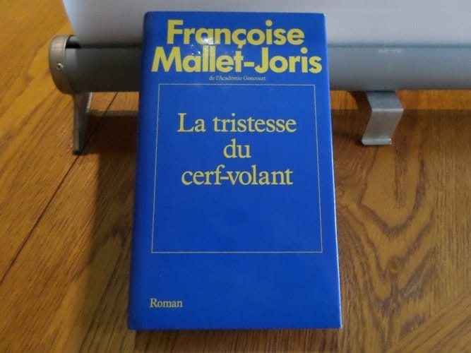 La tristesse du cerf-volant : roman