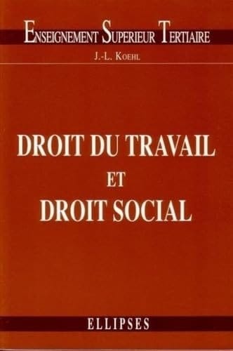 Droit de l'entreprise Tome 2 Droit du travail et droit social