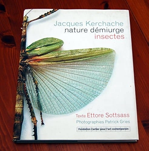 Nature démiurge insectes