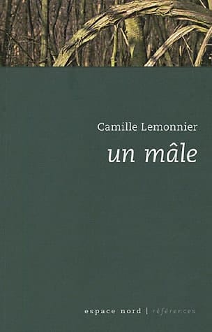 Un mâle roman