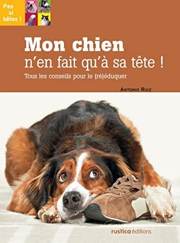 Mon chien n'en fait qu'à sa tête !: Tous les conseils pour le (ré)éduquer