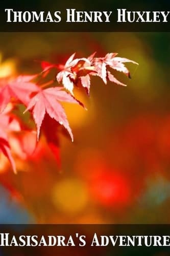 Hasisadra's Adventure