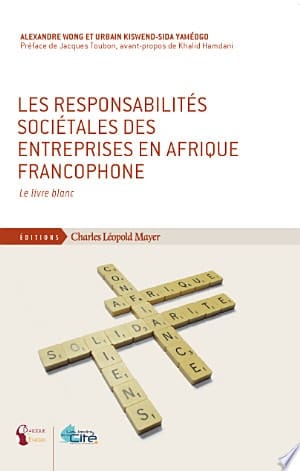Les responsabilités sociétales des entreprises en Afrique francophone