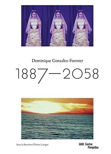 Dominique Gonzalez-Foerster 1887-2058