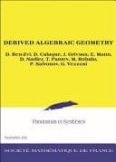 Derived Algebraic Geometry