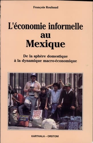 L'économie informelle au Mexique de la sphère domestique à la dynamique macro-économique