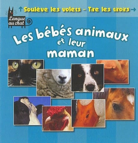 Les bébé animaux et leur maman