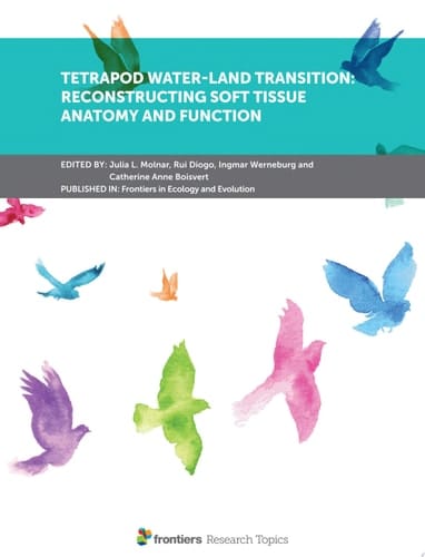 Tetrapod Water-Land Transition: Reconstructing Soft Tissue Anatomy and Function