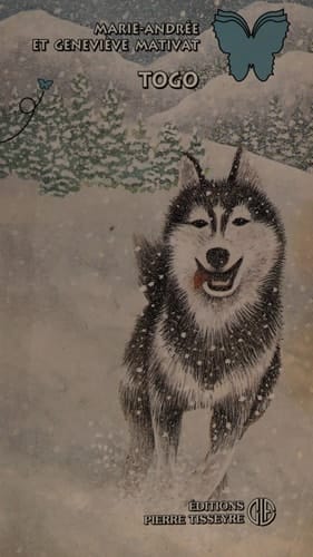 Togo roman