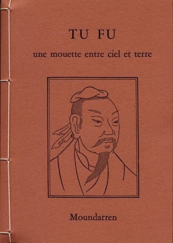 Une mouette entre ciel et terre poèmes
