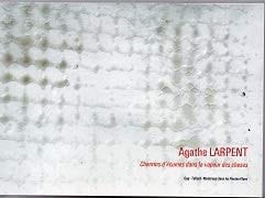 Agathe Larpent, Chemins d'écumes dans la vapeur des choses